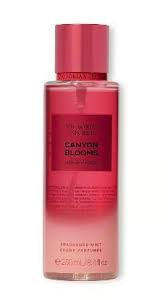 Victoria’s Secret Canyon Blooms with Red Poppy